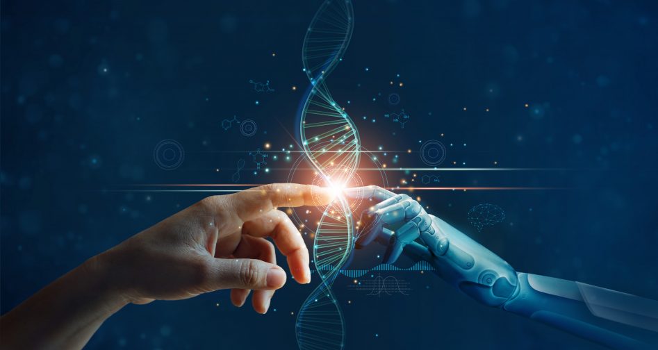 Evolucija PLM-a
